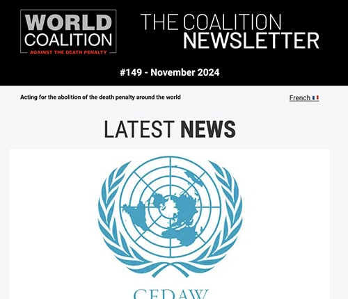 Newsletter November 2024